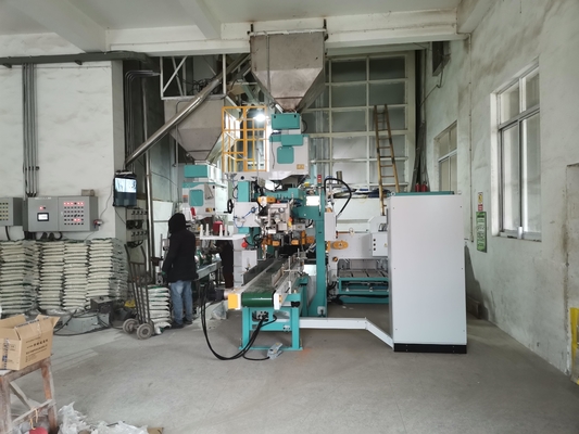 Empaquetadora completamente automática 5-25KG de Warehouse del bolso doble para las habas del arroz