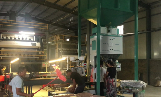 Empaquetadoras cuantitativas de materiales granulares en la alimentación de las semillas del arroz