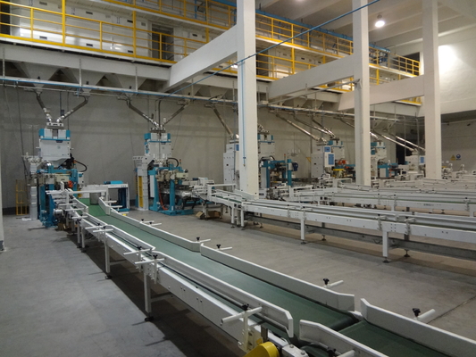 Líneas de envasado automatizadas multifuncionales del movimiento servo sistema de Palletzing del robot de Converying