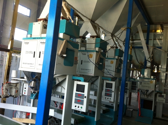 Especias automáticas que llenan la empaquetadora del bocado 5kg
